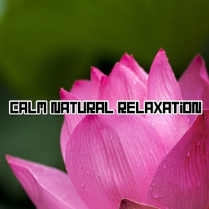 Calm Natural Relaxation