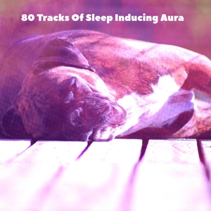 80 Tracks Of Sleep Inducing Aura