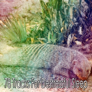 78 Tracks For Destressful Sleep