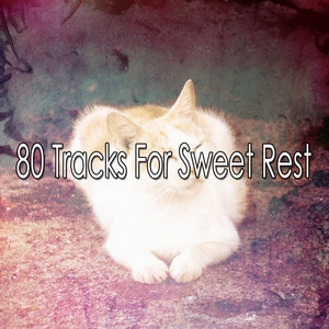 80 Tracks For Sweet Rest