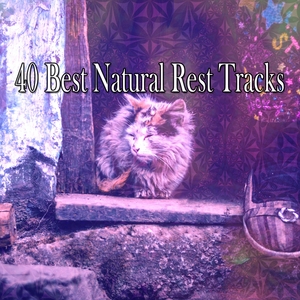 40 Best Natural Rest Tracks