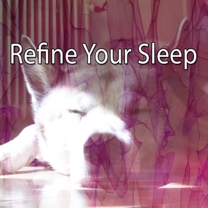 Refine Your Sleep