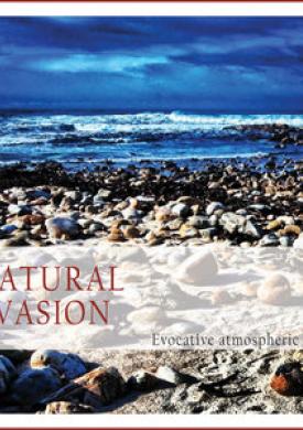 Natural Evasion (Evocative Atmospheric Music)