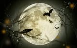 Pleine lune. Image par Larisa Koshkina de Pixabay